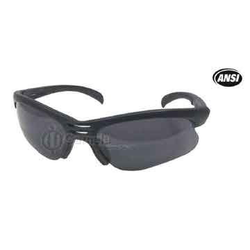 SG52691 - Safety Glasses